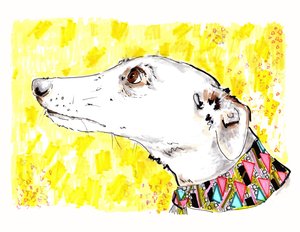 Silvertips The Greyhound、2012（紙にペンとインク）